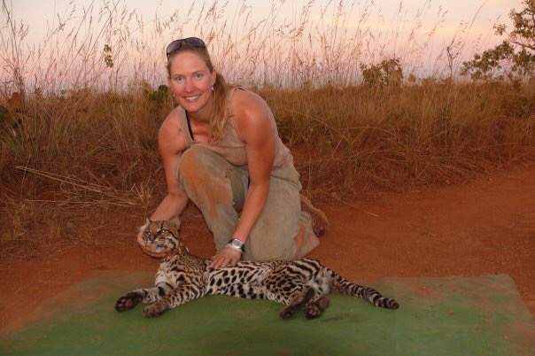 Woman providing veterinarian treatment on wild cat