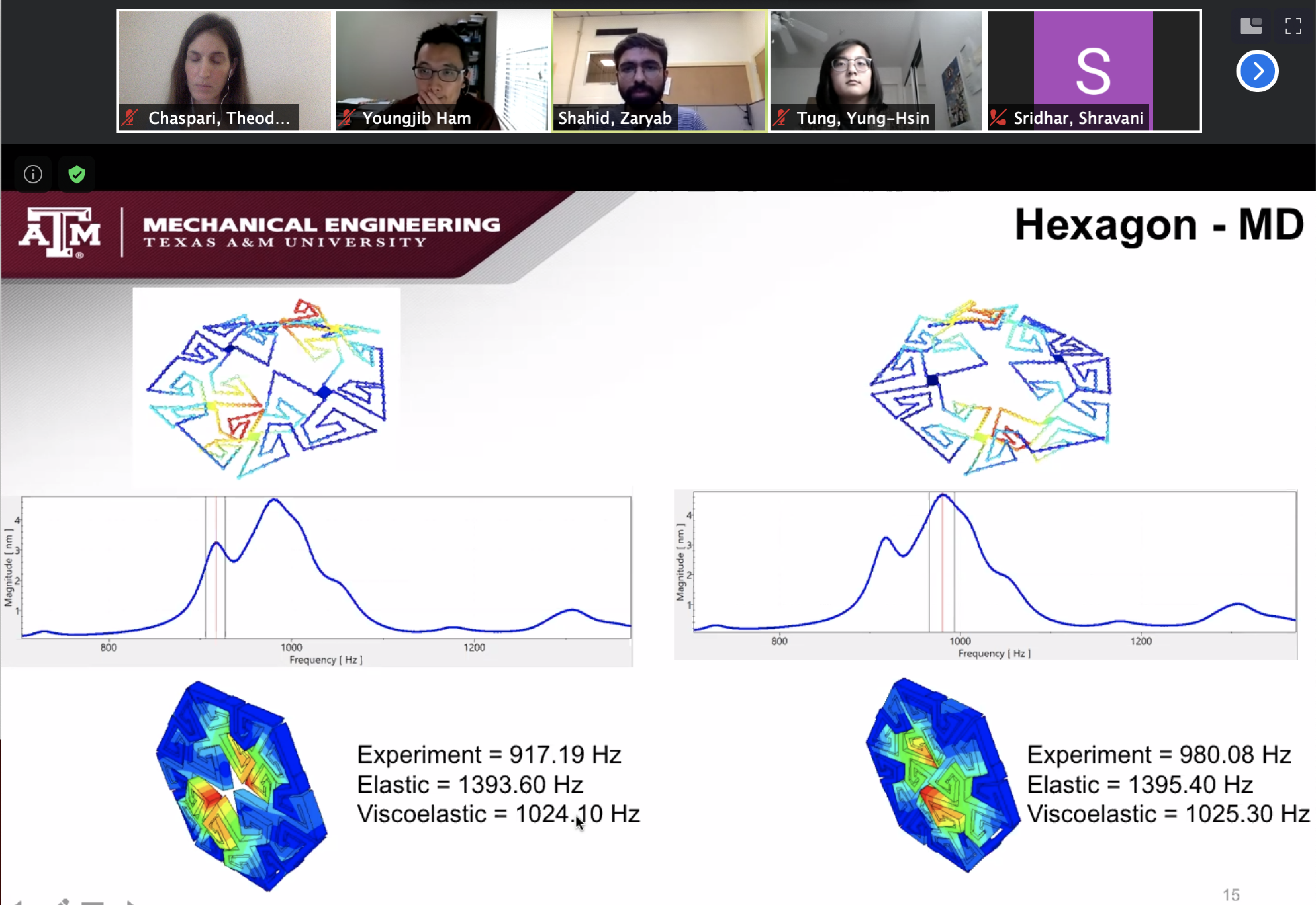 Screenshot from Zoom meeting thumbnail photos of people and data charts